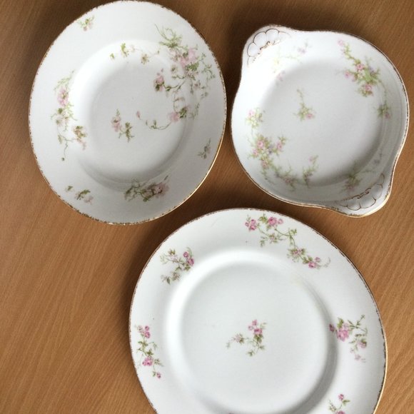 Bundle of 3 Limoges France porcelain 1 pasta bowl and 2 plates floral patterns - Picture 1 of 8